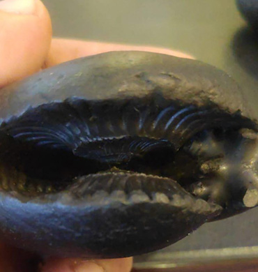 No 1 Logo Makers, Logo designers, Logo Design, creative Logo Artist